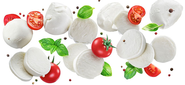 Fresh Mozzarella