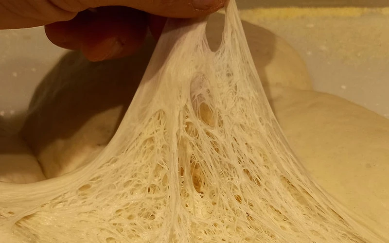 Dough Is Fermented
